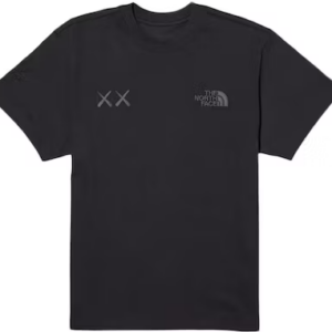 kaws north face t shirt